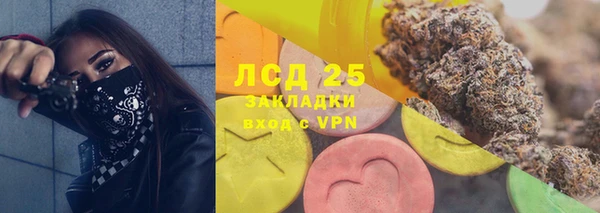 ECSTASY Белокуриха