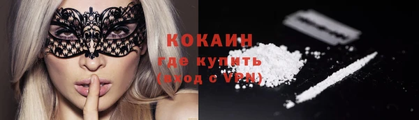 ECSTASY Белокуриха