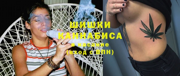 ECSTASY Белокуриха