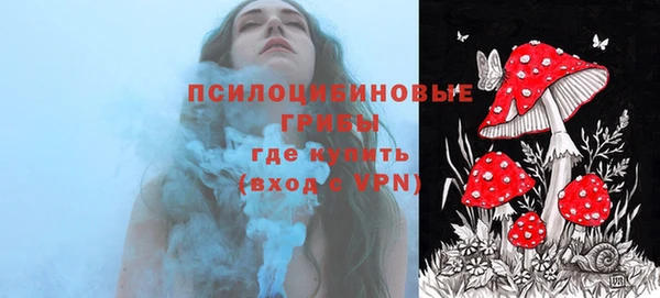 ECSTASY Белокуриха