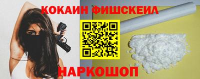 гидропоника Камышлов