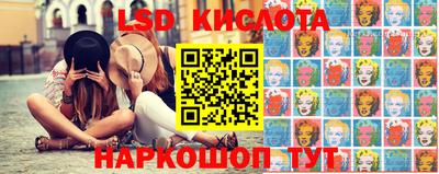 гидропоника Камышлов