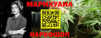 гидропоника Камышлов