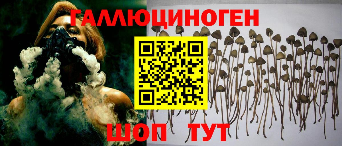 Псилоцибиновые грибы мухоморы Острогожск
